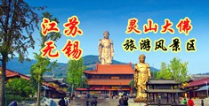 欧美鸡巴视频江苏无锡灵山大佛旅游风景区
